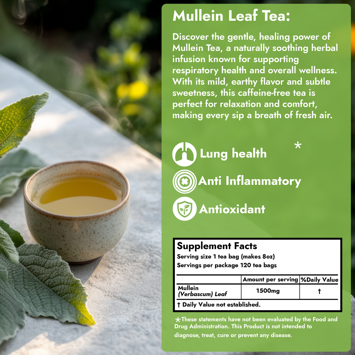 Mullein Leaf Tea