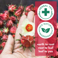 Hibiscus Tea